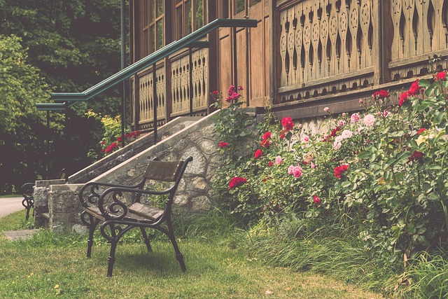 年轻一代 年轻一代