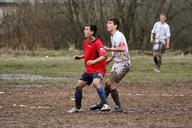 凯尔特人全 凯尔特人全