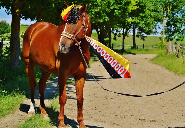 不佳的情况 不佳的情况