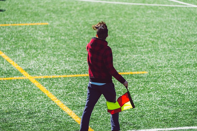 寄予厚望 寄予厚望